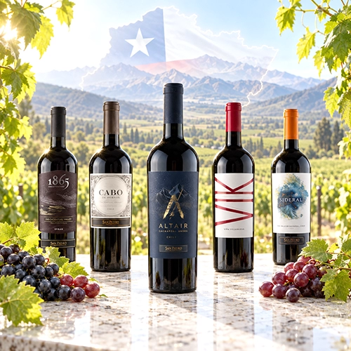 CACHAPOAL VALLEY